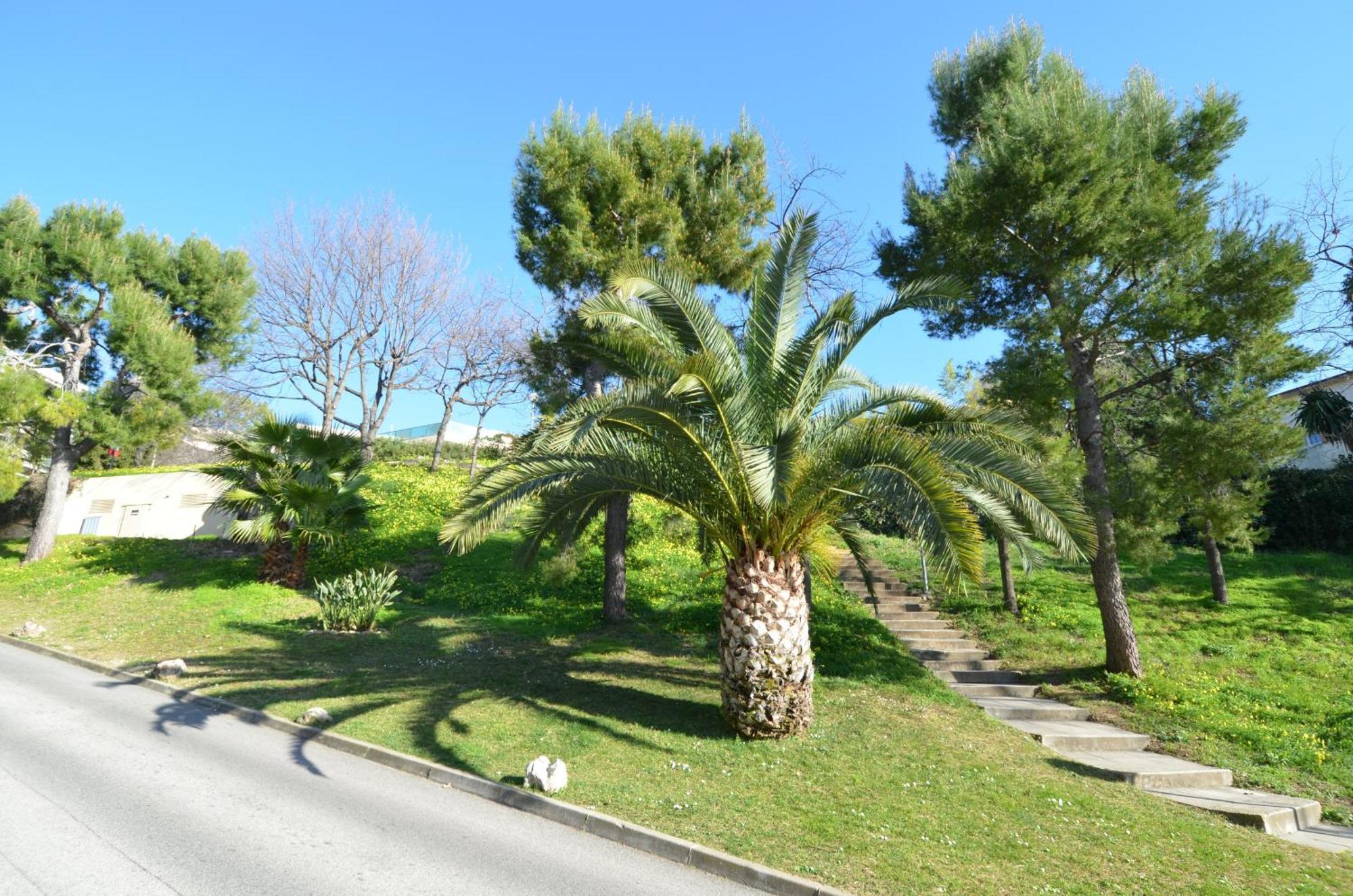 Plein Ciel - Appartement 5 Personnes Avec Piscine Sur La Corniche Fleurie A نيس المظهر الخارجي الصورة